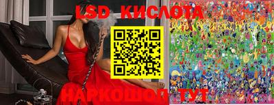индика Волгодонск