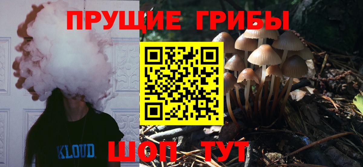 Галлюциногенные грибы Cubensis Моздок